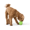 WestPaw Rumbl Small Verde - gioco per cani gallery 2