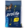 PROLIFE Smart Adult Chicken & Rice - Medium/Large - 12kg gallery 1