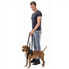 Imbracatura di sostegno per cani - L gallery 2