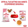ROYAL CANIN Kitten Jelly - Alimento umido per gatti - 12 x 85g gallery 3