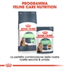 ROYAL CANIN Digest Sensitive Care Gravy - Alimento umido per gatti - 12 x 85g gallery 3