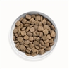 CANAGAN Grass-Fed Lamb 12kg + biscotti gratuiti gallery 2