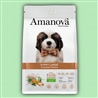 AMANOVA Puppy Large LG Exquisite Chicken - 12kg gallery 1