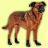 Stivaletti per cani Goo-eez Lites - M - 4pz gallery 3